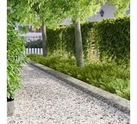 Ordellia Bordure de Pelouse 30 pièces en métal argenté 103 x 25 cm pour aménagement extérieur, delimitation de jardin, création de contours ou séparation de massif ou pelouse