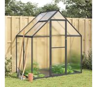 Ordellia Serre avec cadre de fondation, anthracite, 169 x 114 x 195 cm, aluminium, polycarbonate 4 mm, résistante aux UV, avec gouttières, fenêtre de ventilation, porte battante pour jardin, balcon