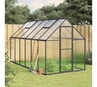 Ordellia Serre avec cadre de fondation, anthracite, 334 x 169 x 195 cm, en aluminium et polycarbonate, résistante aux UV, plaques de 4 mm, surface de 5,64 m² pour maison de tomates, culture, hivernage