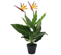 Ordellia Strelitzia Reginae Fleur d'oiseau de paradis artificielle 66 cm, plante artificielle avec 12 feuilles et 2 fleurs, plante décorative en pot pour bureau, salon, rebord de fenêtre et décoration