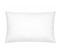 Oreiller 100x80 cm GRIZZ'LIT PLUMES 100% Plumes de Canard