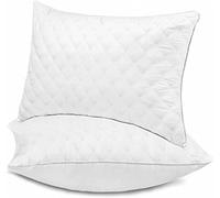 Oreiller 50x70 cm Lot de 2 Coussins Hotellerie Luxe Oreillers, Antiallergique Anti Acarien d'oreiller Moelleux Microfibre Lavable, Ergonomique Oreiller pour Dormeurs sur Le Dos Le Côté Le Ventre