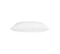 Oreiller anti-acariens 50x70 cm - 100% Polyester -