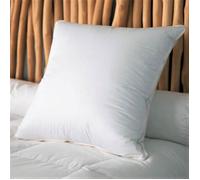 Oreiller bio et écologique Castex - 90% duvet - 60x60cm