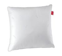 Oreiller carré Aloe Vera - 65x65cm ferme