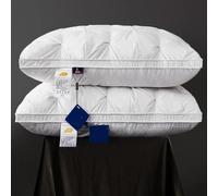 Oreiller en duvet d'oie pour dormir, taie d'oreiller en coton blanc, rectangle, chambre à coucher, sommeil, hôtel 5 étoiles, oreillers bas, mi-hauts, 95% Gray 48X74cm
