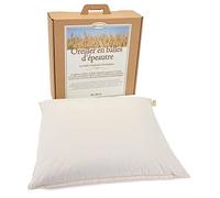 Oreiller Grand Epeautre bio 60x60 cm