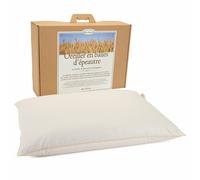 OREILLER GRAND EPEAUTRE BIO 50x70 CM