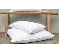Oreiller premium en plumes et duvet avec bois de pin cembro Jekatex : 80 × 80 cm