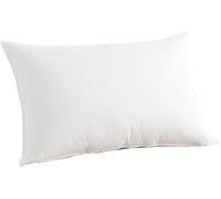 Oreiller rectangle Coton Biologique mi-ferme 50x75cm