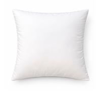 Oreiller respirant moelleux premium avec traitement anti-acarien Blanc 60x60 cm