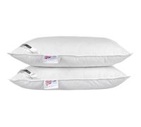 HOMESCAPES 2 Oreillers naturels 50 x 75 cm, 85% Plumes et 15% Duvet de Canard Anti acarien, Frais en été, Chaud en Hiver