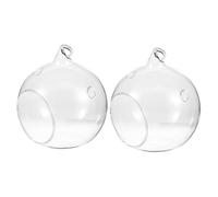 ORFOFE Lot de 2 Boules en Verre à Suspendre - Vase en Verre pour Plantes succulentes - Mini Cache-Pot décoratif - Jardin et Chambre