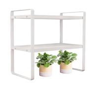 Organisateur de Bureau Étagère à Livres Présentoir Moderne À 2 Niveaux | Étagère Organisateur Robuste pour Dessus de Bureau pour Maison Chambre Bureau Salle de Lecture Décoratif et Jardinière