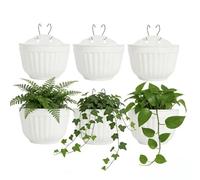 ORIMERC 6 pcs pots de 25 cm fleurs muraux verticaux à suspendre pour jardin, salon, fenêtre, intérieur, extérieur, cuisine, herbes, balcon, balustrade, étagère, clôture, décoration de treillis Blanc