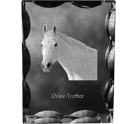 Orlovský klusák - cristal avec image de cheval, statuette en verre avec image, cadre unique avec image de la marque Art-Dog