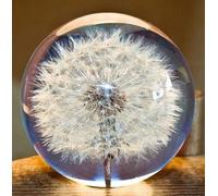 Ornements Cadeaux, Presse-papiers en Verre Une Boule de Rêve. Boule de Voeux en Cristal. Presse-papier Unique en Forme de Pissenlit. Le Cadeau Parfait. (7 Cm) de Diamètre