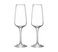 Orrefors Verre à champagne Pulse 28 cl Lot de 2 Transparent