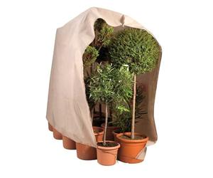 Ose Housse d'hivernage Large pour Plante 120 x 180