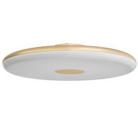 OSMONT ZET60018 ZETA 2 FP : plafonnier/applique murale en plastique, Golden Beach / Blanc, indice de protection IP40, 3000 K, LED 38 W