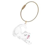 OSOLADY Porte-clés en ABS Capsule Transparent pour Poils d'animaux, Solution de Rangement Portable Design Créatif et Utilisation en Extérieur pour Propriétaires d'animaux