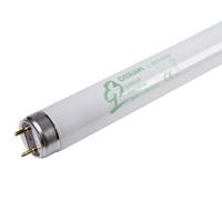 OSRAM - 10 lampes fluorescentes - 58 Watt / 840