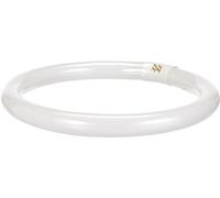 Osram tube fluorescent T9 circulaire G10q