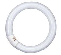 Osram AA408170155-circulaire Tube Fluorescent/l32 865-32w