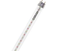 OSRAM Ampoule LED pour plantes LED TUBE T8 18 EM FLUORA 600 mm 6.6W 604.00 mm G13 6.6 W blanc chaud forme de tube 1 pc(s)
