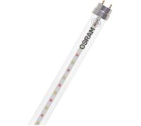 OSRAM Ampoule LED pour plantes LED TUBE T8 18 EM FLUORA 600 mm 6.6W 604.00 mm G13 6.6 W blanc chaud forme de tube 1 pc(s)
