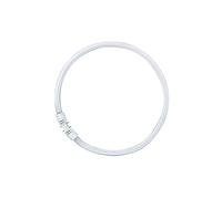 Osram FC 22 W/840 Tube Fluorescent 12 x 1