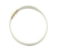 Osram FC 2GX13 830 Lampe circulaire fluorescente Blanc chaud 55 W