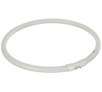 Osram FC 55 W/840 Tube Fluorescent 2GX13 12 x 1