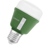 Osram Ampoule pour plantes HOMELIGHTING E27 10 W — 1 pièce
