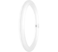 OSRAM HOMELIGHTING Tubes LED CEE: E (A - G) G10q forme danneau 18.3 W = 32 W blanc neutre (Ø x L) 300 mm x 300 mm 1 pc(s)