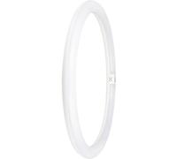 OSRAM HOMELIGHTING Tubes LED CEE: E (A - G) G10q forme danneau Ballast conventionnel 24 W = 40 W blanc froid (Ø x L) 400 mm x 400 mm 1 pc(s)