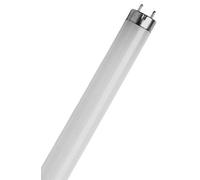 Osram L 18 W/865 XXT Tube Fluorescent 25 x 1 LF