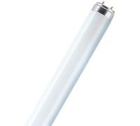 OSRAM LUMILUX® T8 36 W/830 - Lampes fluorescentes, socle G13