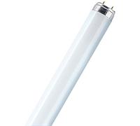 Osram L 36 W/840-1 Tube Fluorescent 25 x 1 LF