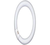 Osram L 40 W/865 C Tube Fluorescent G10Q 12 x 1