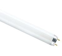 Osram L18 W/830 18 W G13 A