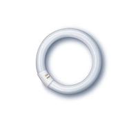 OSRAM LUMILUX® T9 C 22 W/865 G10Q - Lampes fluorescentes, socle spécial