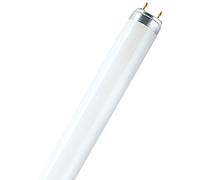 Osram Lampe fluorescente 36 W 830 Couleur de lumière L 36 W/830-1