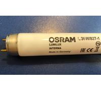OSRAM Lampe Fluorescente L 36W/827-1 LUMILUX INTERNA, Tube 1 m