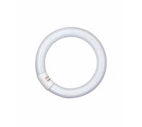 Osram Lampe Fluorescente LUMILUX C T9 G10q 865 Blanc Jour 22W