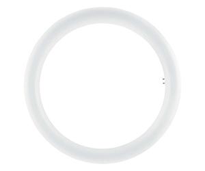 OSRAM lampe LED | Culot: G10q | Blanc froid | 4000 K | 20 W | Equivalente à 32 W N/A | dépolie | SubstiTUBE® T9 EM nergie efficace
