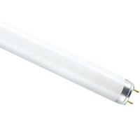 OSRAM lampe tube fluorescente LUMILUX T8, 18 Watt (830) G13 L 59cm