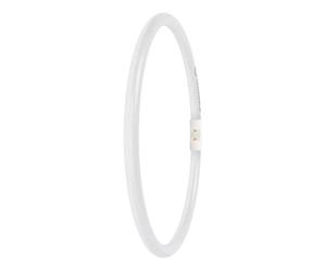 Osram LED lamp.anello T5 FC40/55 P 21,5W 830 2GX13