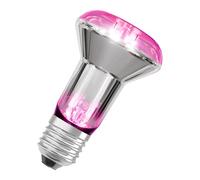 Osram LED Star avec filament et 7,5 W / 140 lm, culot E27, avec une lumière blanc chaud à 1300 Kelvin permet aux plantes de s'épanouir. Il n'est pas dimmabet mesure 63 mm de hauteur.