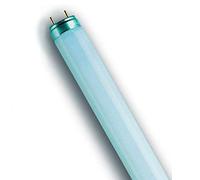 OSRAM LUMILUX® T8 36 W/830 - Lampes fluorescentes, socle G13